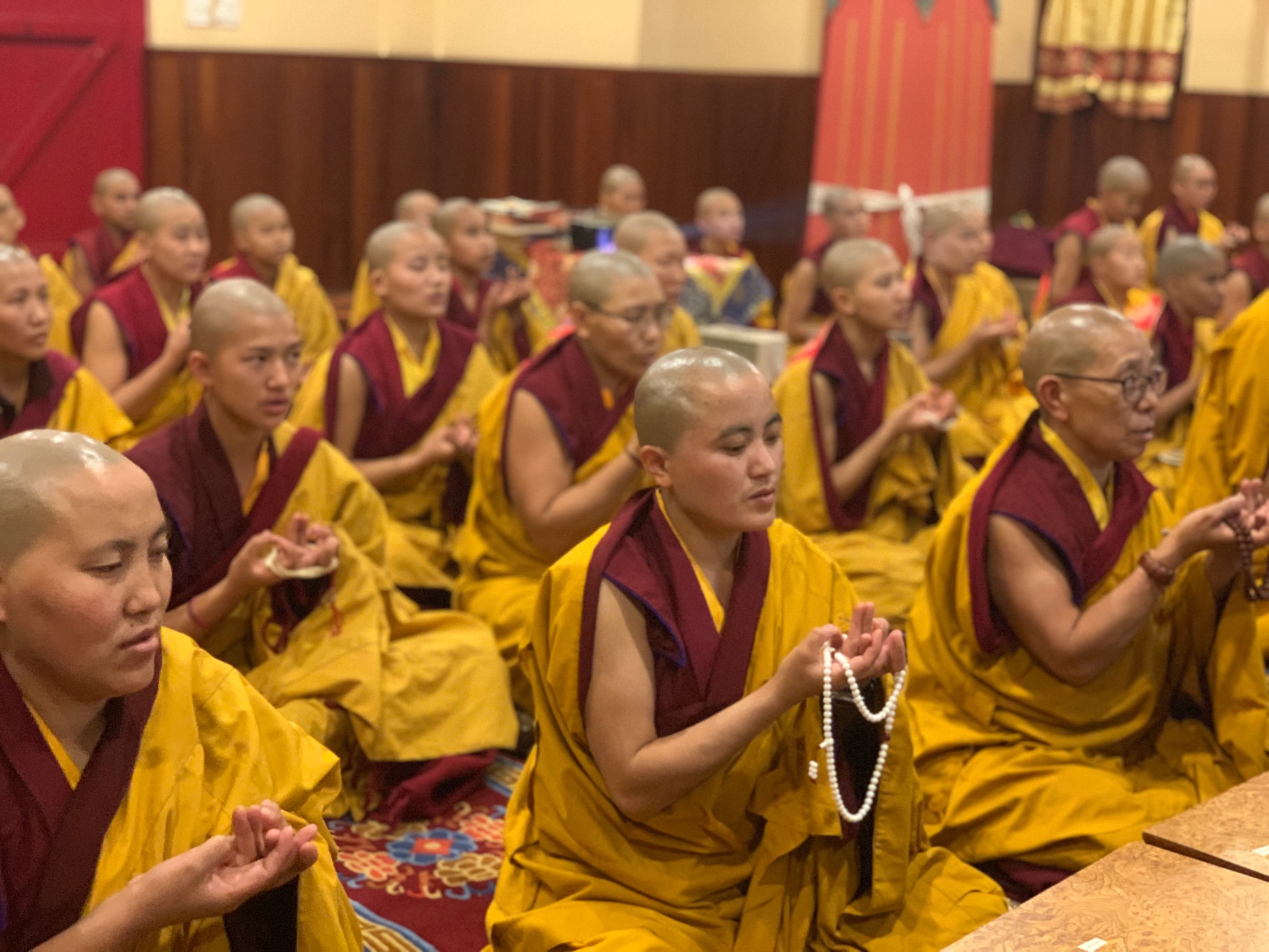 Day 17: His Holiness on Vegetarianism